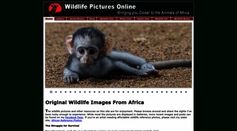 wildlife-pictures-online.com