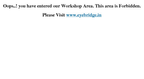 workshop.eyebridge.co.uk