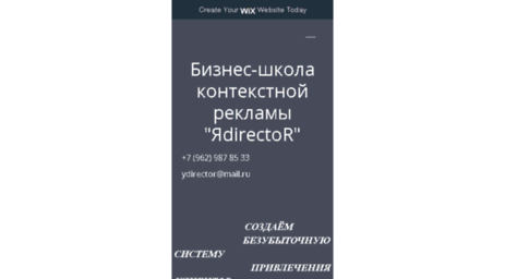 ydirector.ru