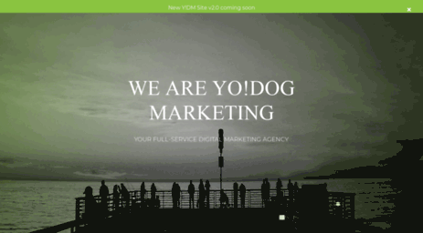 yodogmarketing.com