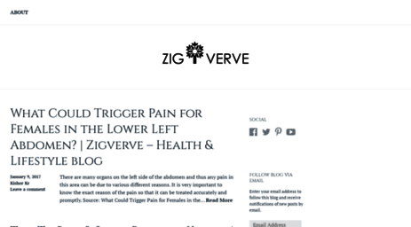 zigverve.wordpress.com