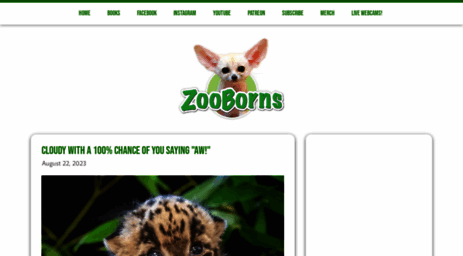 zooborns.com